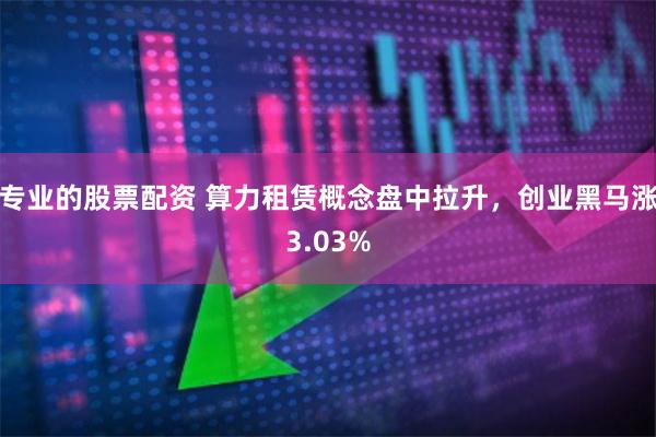 专业的股票配资 算力租赁概念盘中拉升，创业黑马涨3.03%