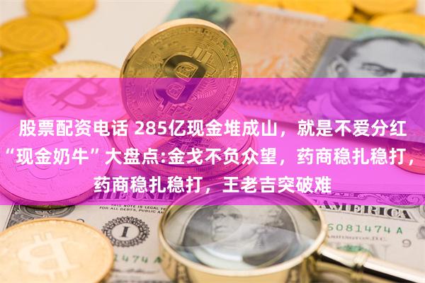 股票配资电话 285亿现金堆成山，就是不爱分红！白云山三大“现金奶牛”大盘点:金戈不负众望，药商稳扎稳打，王老吉突破难