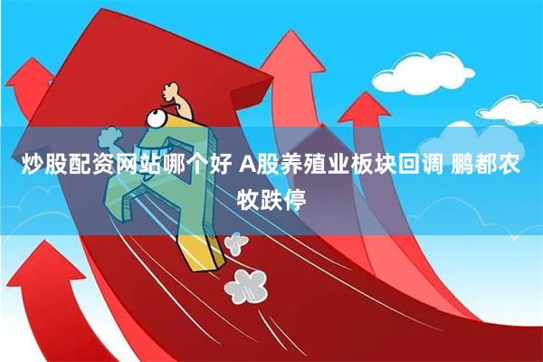 炒股配资网站哪个好 A股养殖业板块回调 鹏都农牧跌停